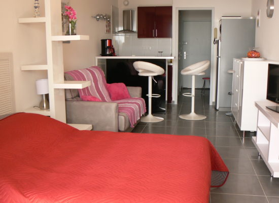 studio impeccable avec un vrai lit et mobilier design